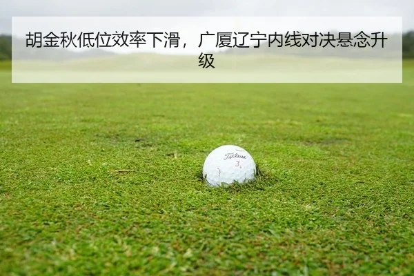 hu-jin-qiu-di-wei-xiao-lv-xia-hua-guang-sha-liao-ning-nei-xian-dui-jue-xuan-nian-sheng-ji-2-153.jpg
