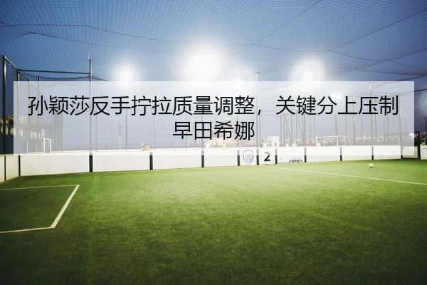 sun-ying-sha-fan-shou-ning-la-zhi-liang-tiao-zheng-guan-jian-fen-shang-ya-zhi-zao-tian-xi-na-2-732.jpg